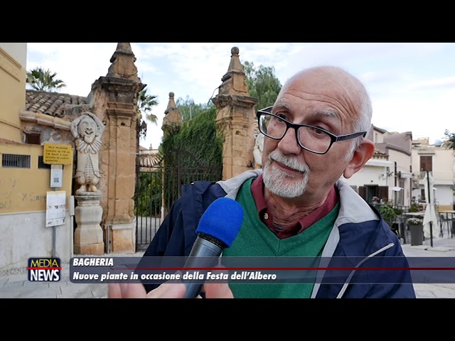 Bagheria. Nuove piante in occasione della Festa dell’Albero