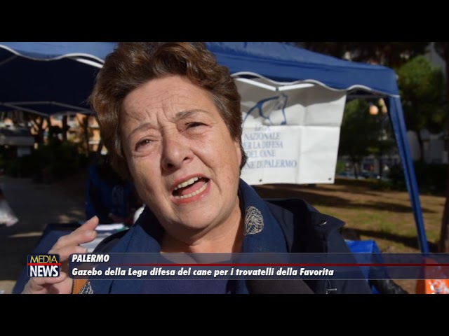 Palermo. Gazebo della Lega difesa del cane per i trovatelli della Favorita