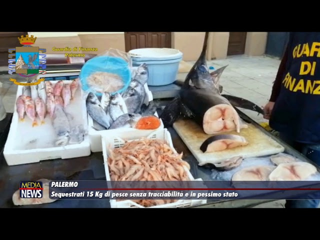 Palermo. Sequestrati 15 chili di pesce senza tracciabilità e in pessimo stato