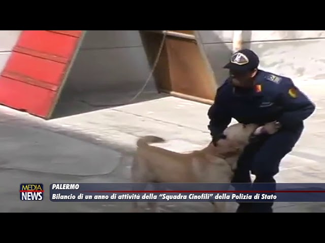 Palermo. Bilancio di un anno di attività della “Squadra Cinofili” della la Polizia di Stato