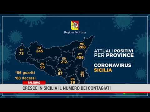 Coronavirus in Sicilia: 71 positivi in più rispetto a ieri, 12 guariti e 7 deceduti oggi