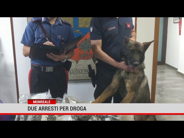 Monreale. Due arresti per droga