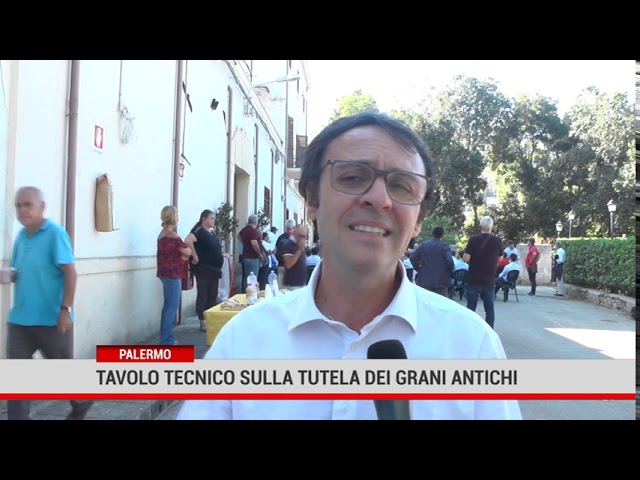 Palermo. All’Istituto Zootecnico un tavolo tecnico sulla tutela dei grani antichi di Sicilia.