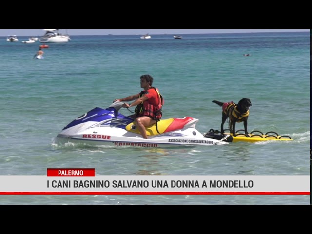 Palermo. I cani bagnino salvano una donna a Mondello