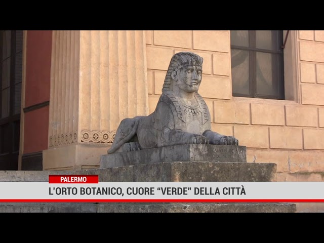 Palermo. L’orto botanico, cuore “verde” della città