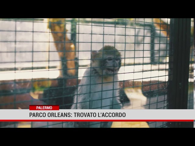 Palermo. Parco Orleans: trovato l’accordo