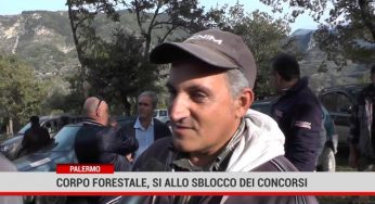Palermo. Regione :Corpo forestale, sì allo sblocco dei concorsi