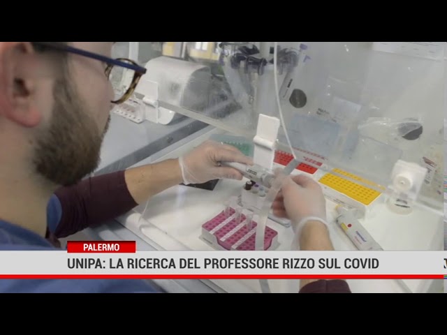 Unipa: la ricerca sulla reale mortalità in Italia per covid 19