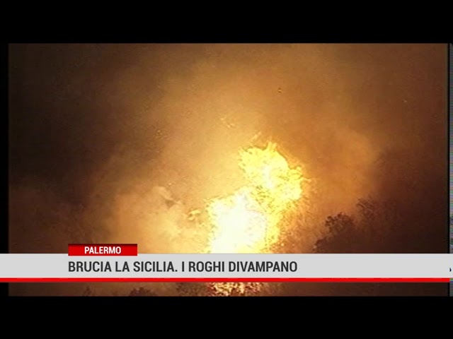 Palermo. La Sicilia va a fuoco. Interventi di canadair e elicotteri nell’Isola.