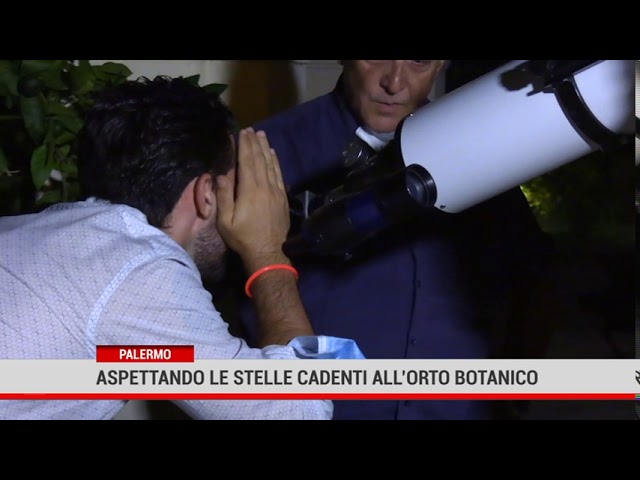 Palermo. Aspettando le stelle cadenti all’Orto Botanico