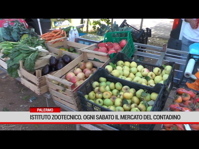 figuccia istituto zootecnico 09 11