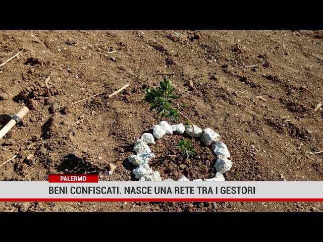 Palermo. Beni confiscati. Nasce una rete tra i gestori