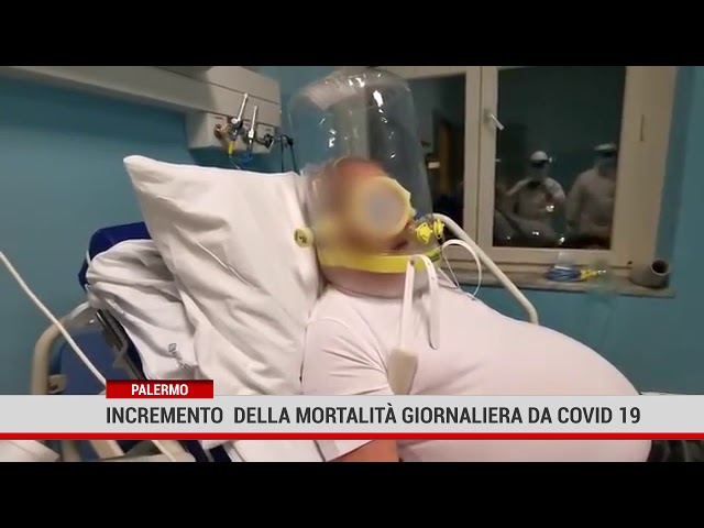Palermo. Incremento  della mortalità giornaliera da covid-19