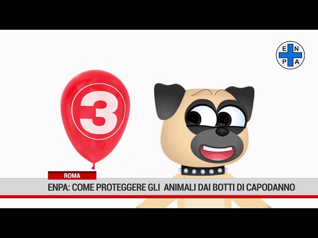 Roma. I consigli dell’Enpa per proteggere gli animali dai botti di Capodanno