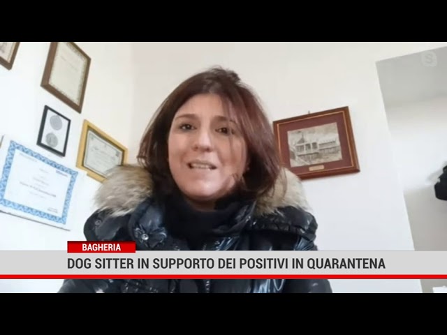 Bagheria. Dog sitter contro l’abbandono cani