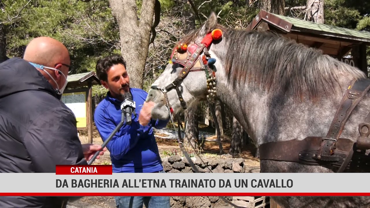 Catania. Da Bagheria all’Etna trainato da un cavallo