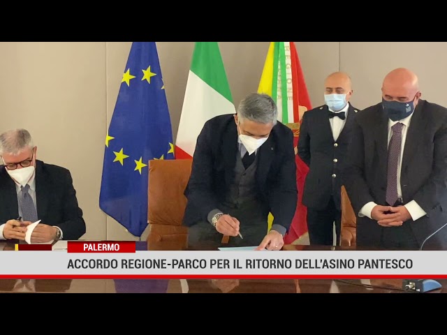 Palermo. Accordo Regione-Parco per il ritorno dell’asino pantesco