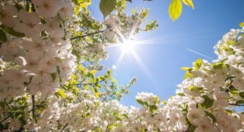 Arriva la primavera in Sicilia, fino a domenica sole e temperature oltre i 20 gradi