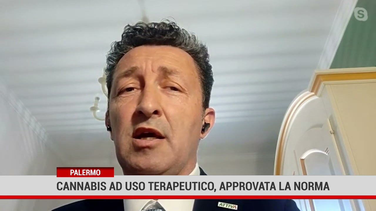 Palermo. Cannabis a uso terapeutico, approvata la norma