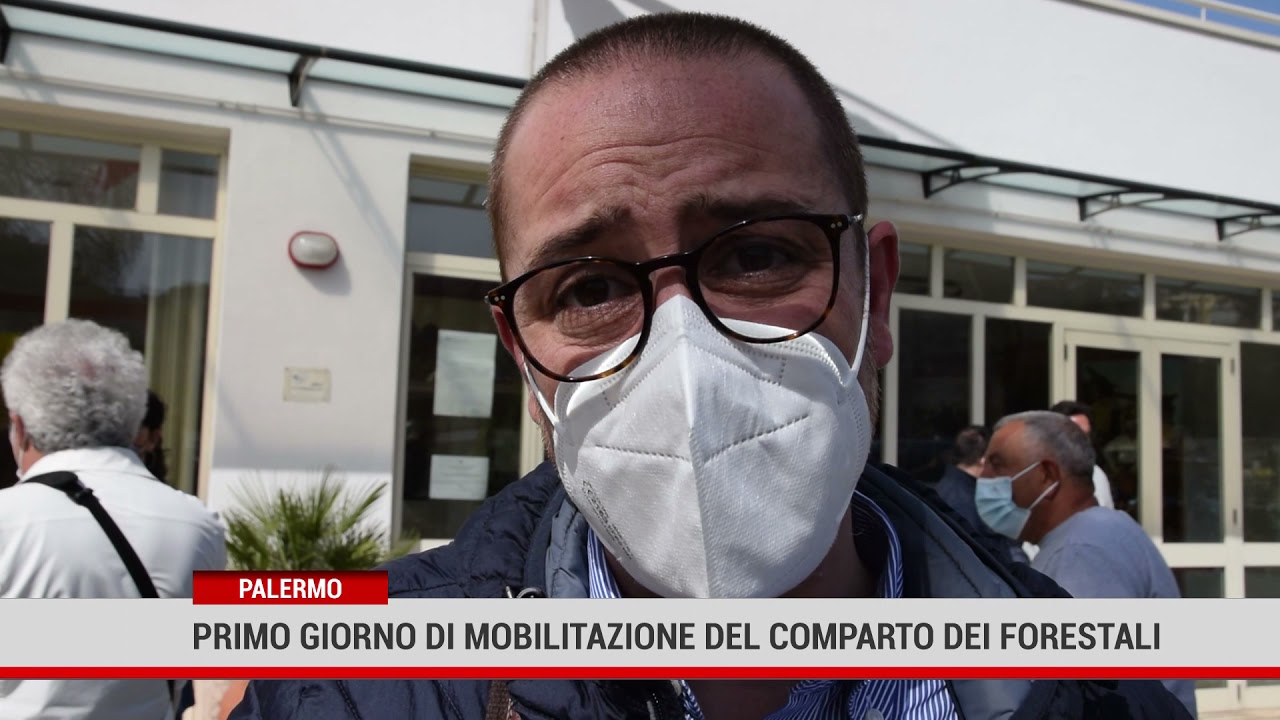 Palermo. Primo giorno di mobilitazione del comparto dei forestali