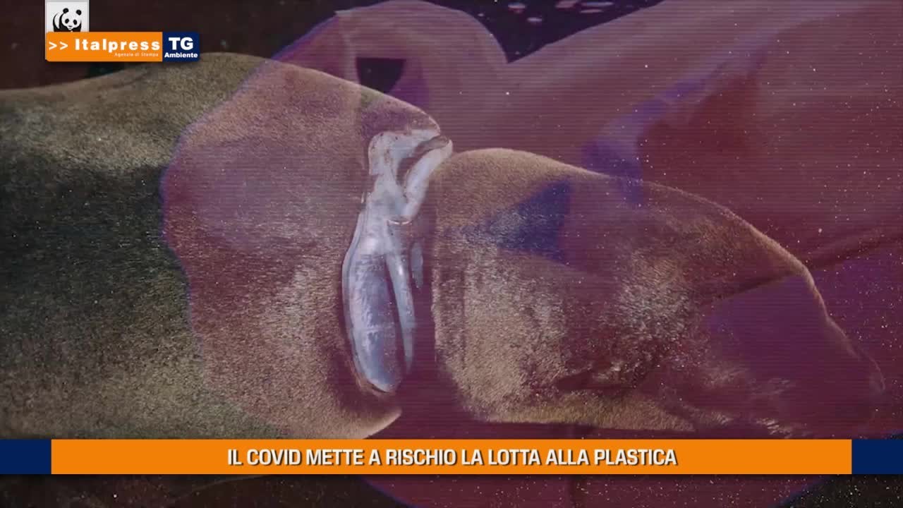 Tg Ambiente - 20/6/2021