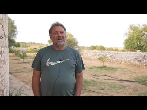 Modica