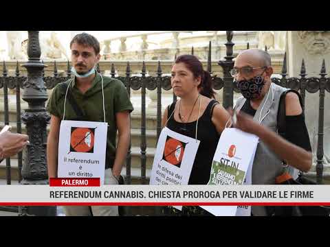 Palermo. Referendum cannabis