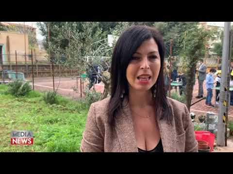 Medianews 06/11/21 2a edizione