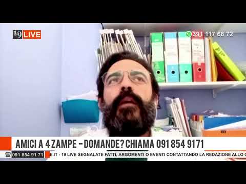 19LIVE AMICI A 4 ZAMPE 18 MARZO 2022