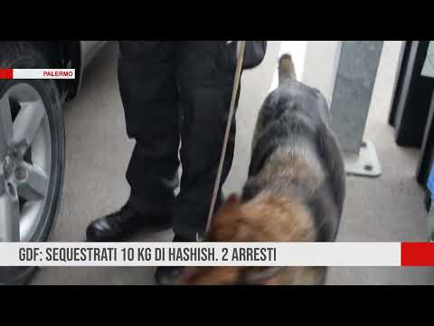 Palermo. Gdf: sequestrati 10 kg di hashish