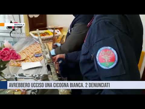 Marsala. Avrebbero ucciso una cicogna bianca