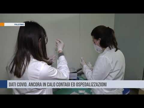 Palermo. Dati covid