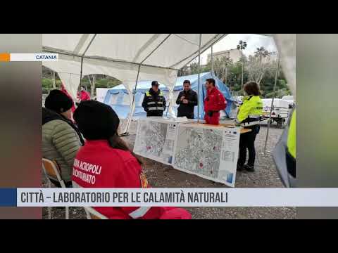 Catania