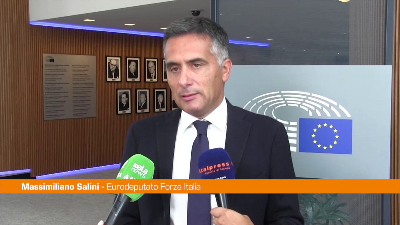 Energia, Salini "Mercato Ets deve essere sospeso"