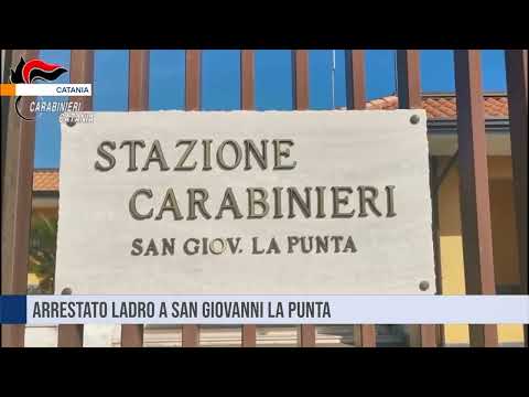 Catania