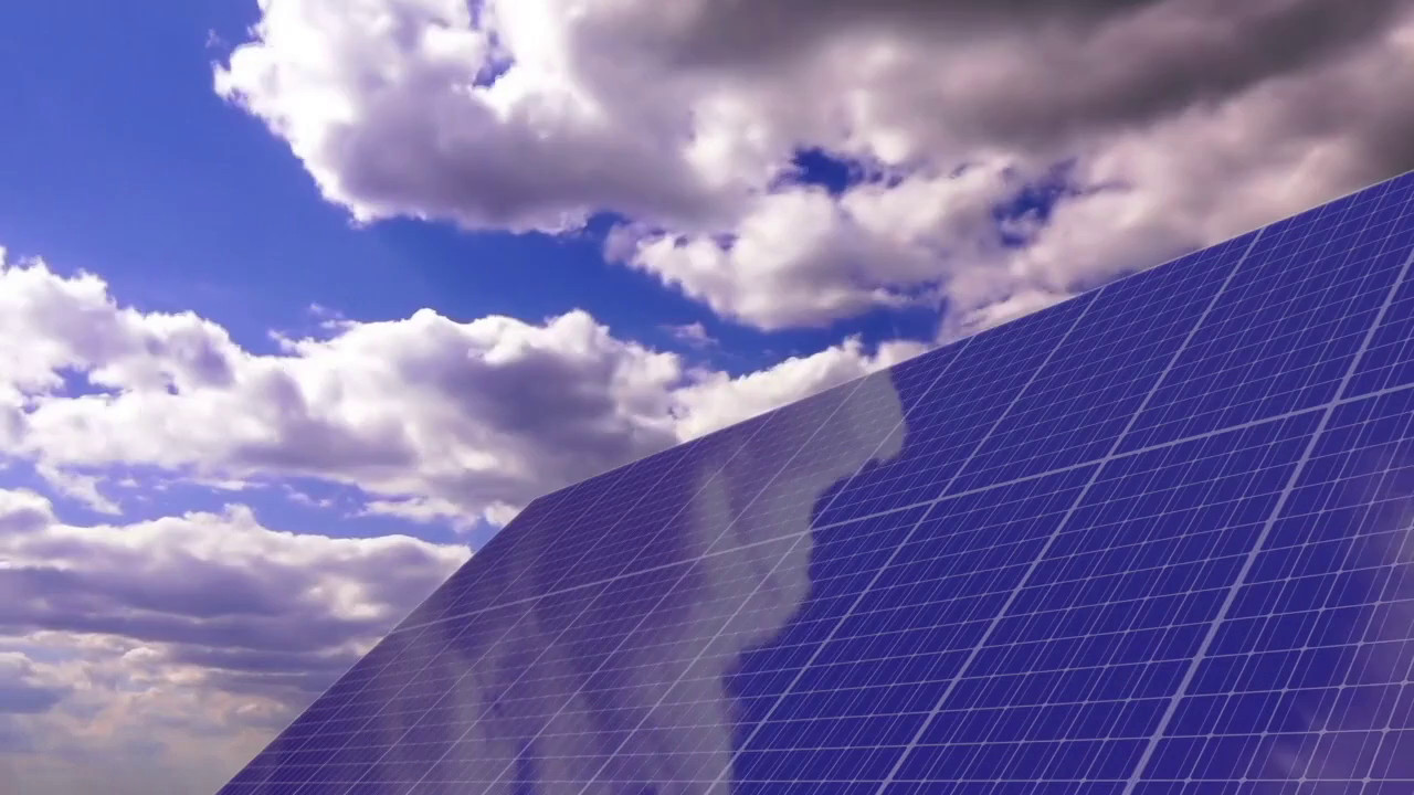 Gli atenei piemontesi fanno squadra per la sostenibilità