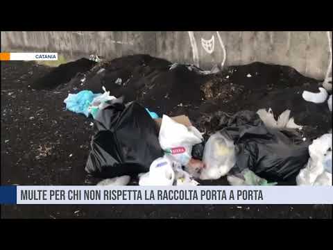 Catania