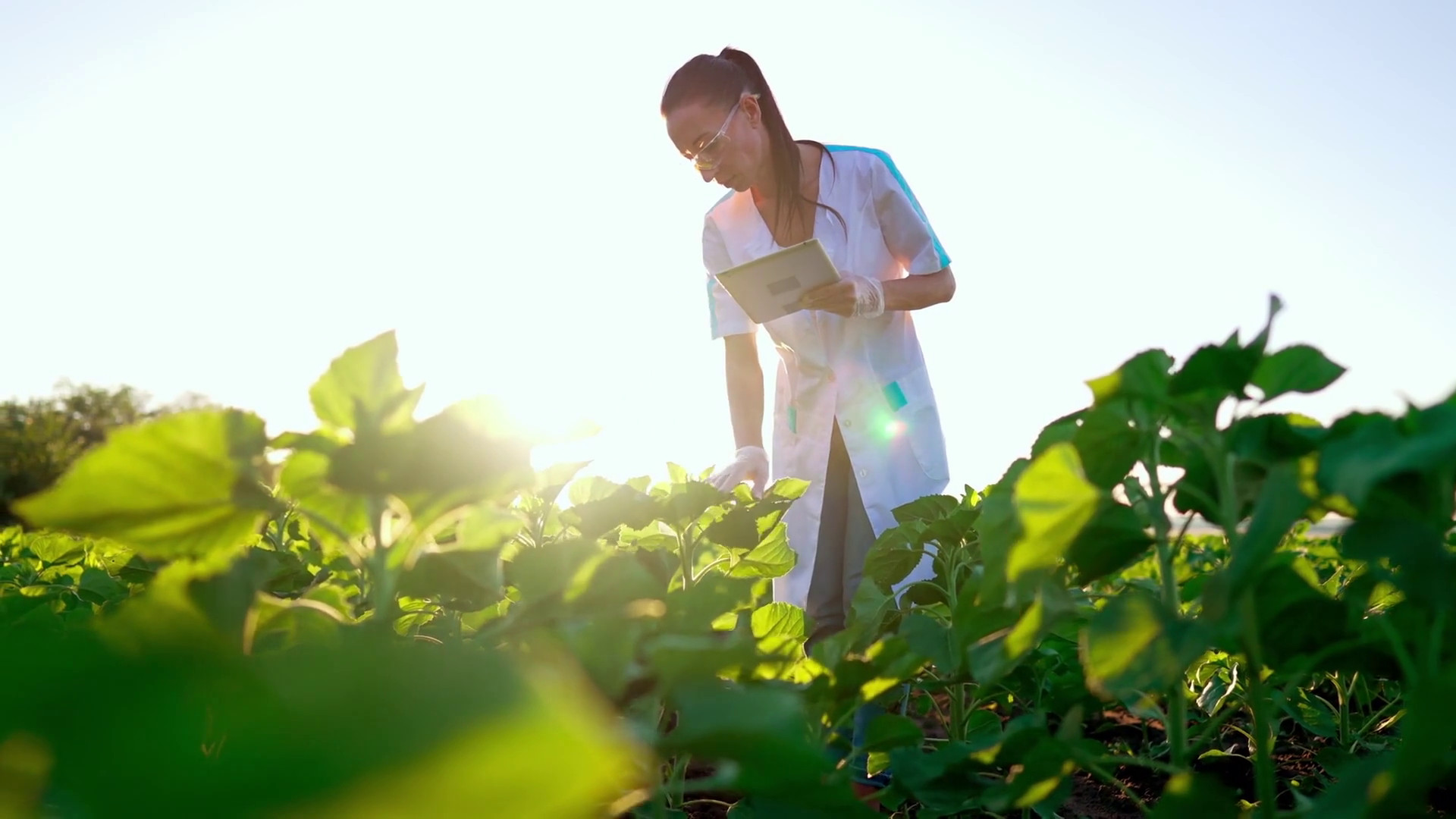 Nell'agroalimentare perse 21 mila imprese in 3 anni