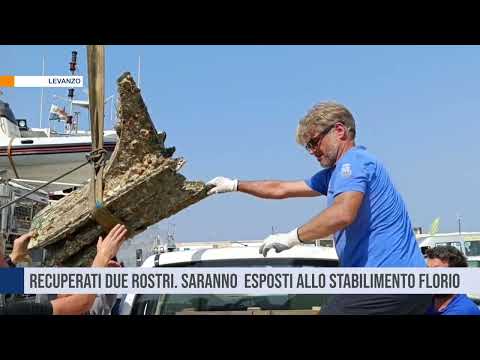 Levanzo. Recuperati due rostri