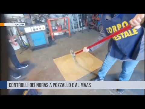 Catania