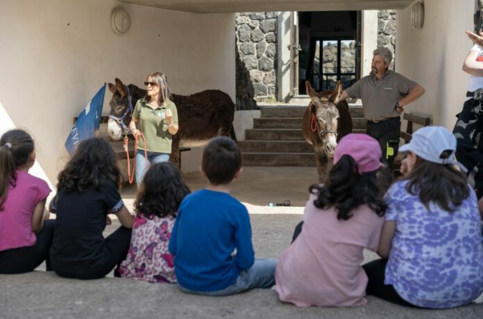 A scuola di natura a Pantelleria con il progetto “Delfini Guardiani”