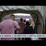 Bolgia al Barbera, il Palermo sfida la Samp col sogno della A
