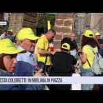 Palermo. Protesta Coldiretti: in migliaia in piazza