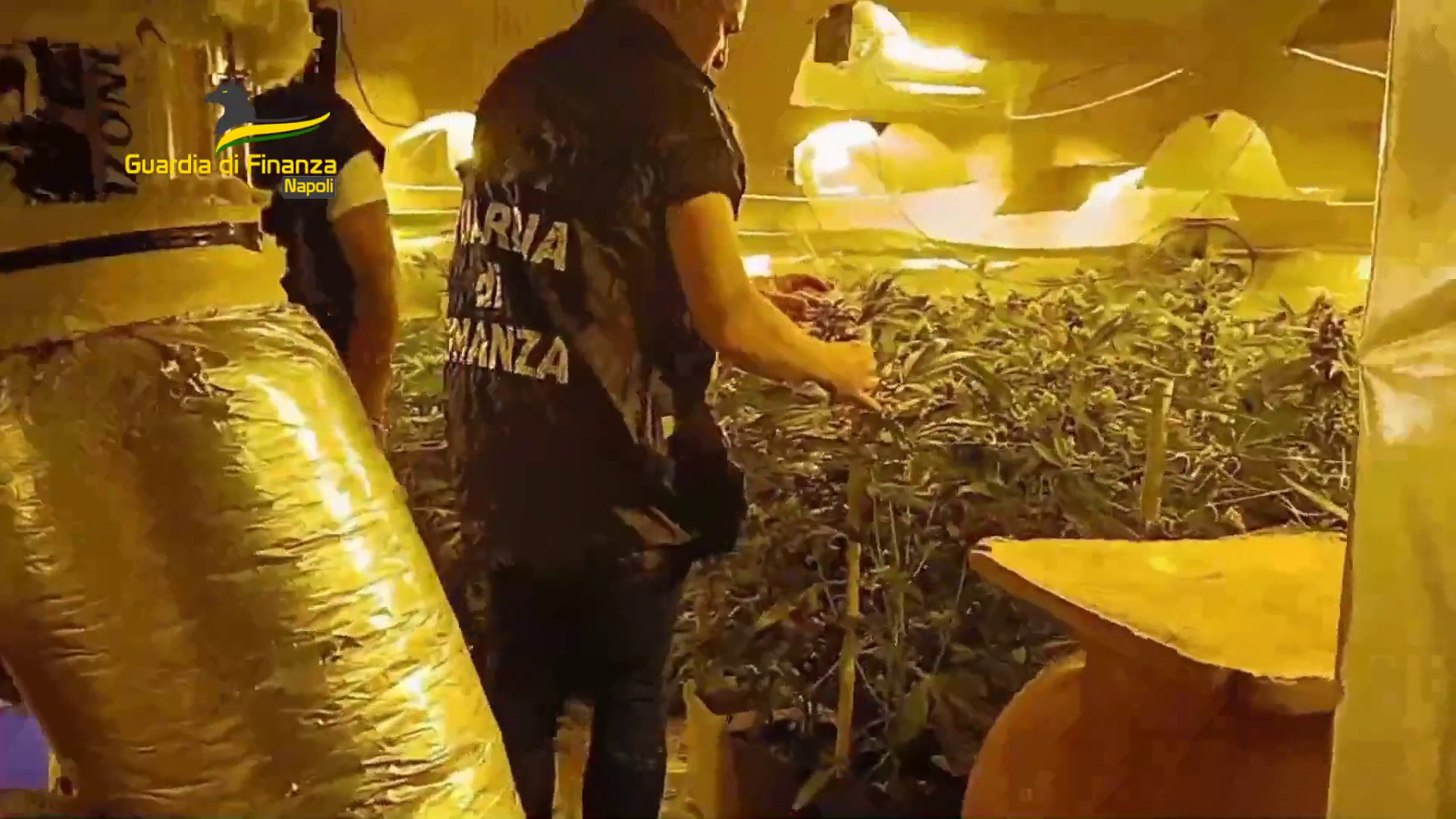 Napoli, sequestrati 11 kg di cocaina