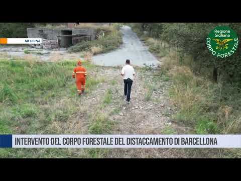 Intervento del corpo forestale del distaccamento di Barcellona
