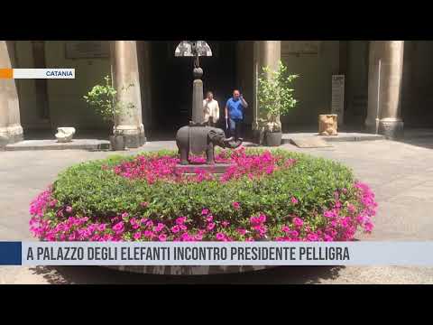 Calcio, incontro a Palazzo degli Elefanti per pianificare il futuro del Catania FC