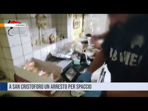 Catania