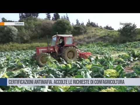 Catania. Certificazioni antimafia