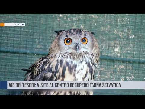 Nel fine settimana "Le vie dei tesori" a Bagheria, Corleone e Termini Imerese