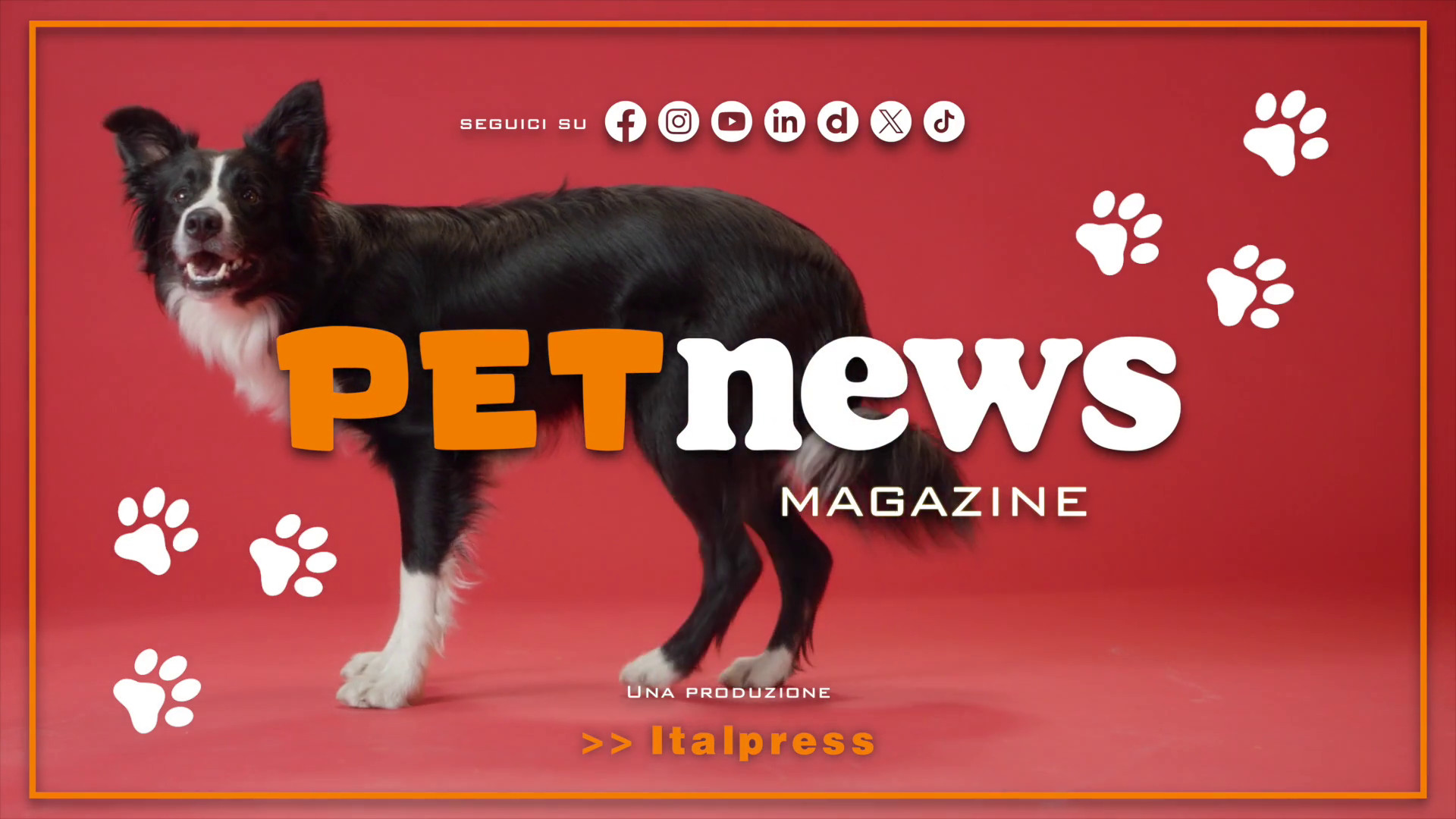 PetNews Magazine - 3/9/2024